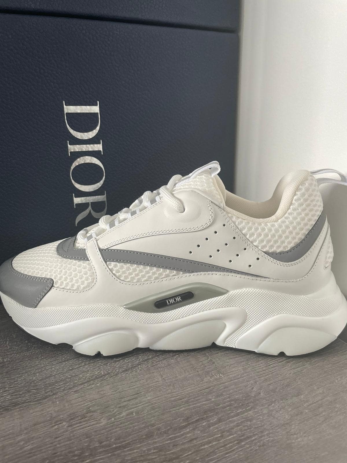 b22 dior trainer